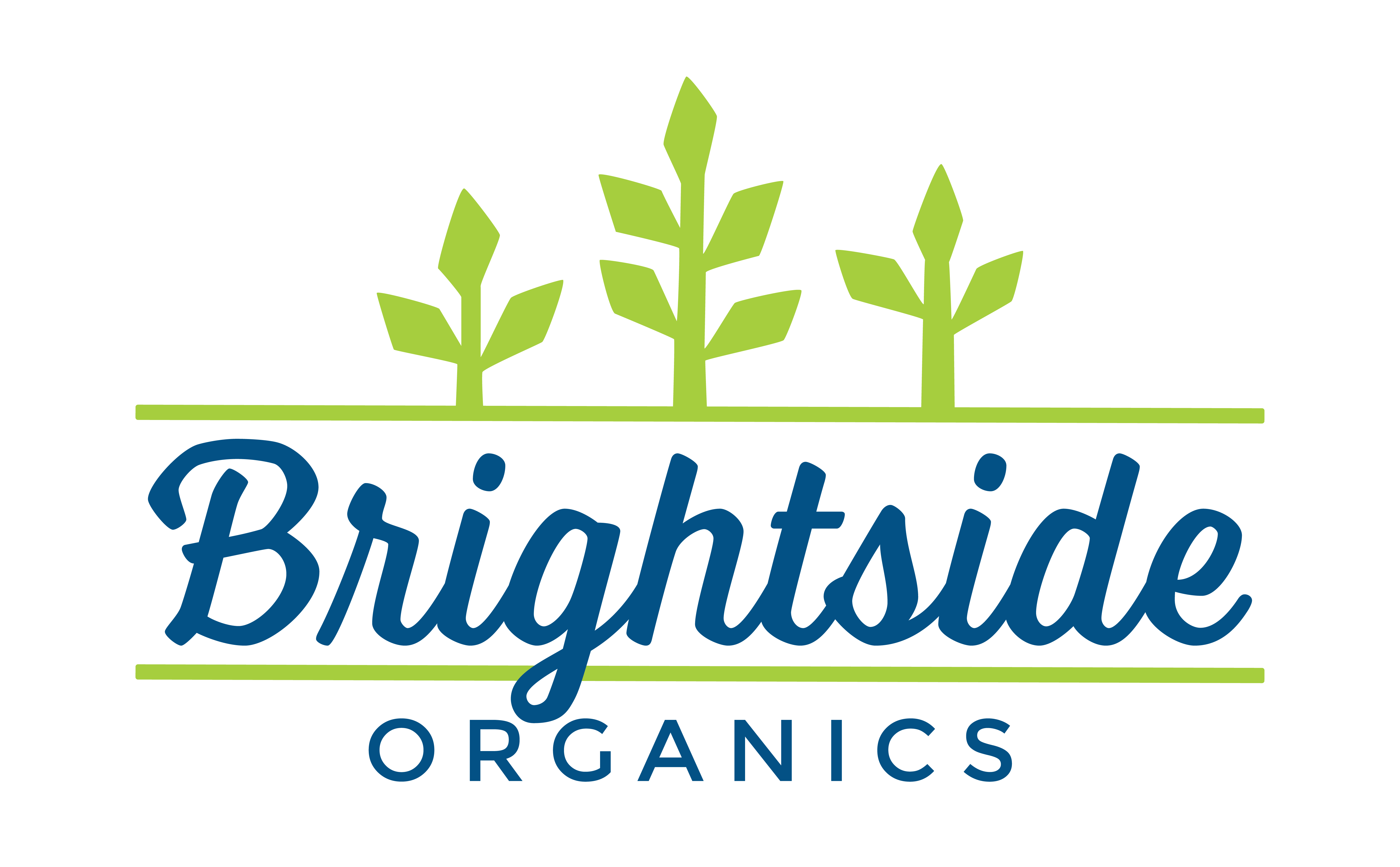 Brightside Organics